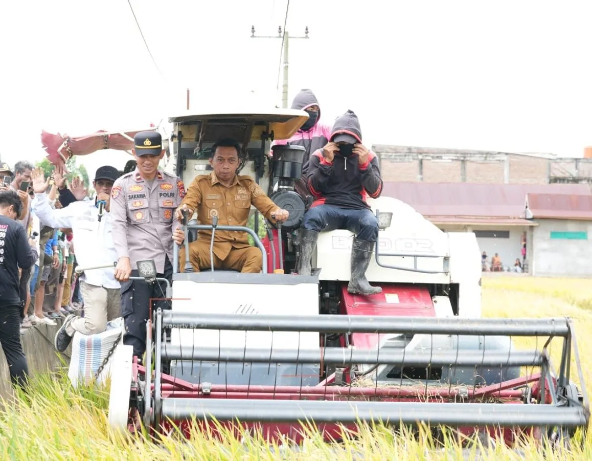Bupati Sidrap Dorong Modernisasi Pertanian saat Panen Raya di Bila Riase