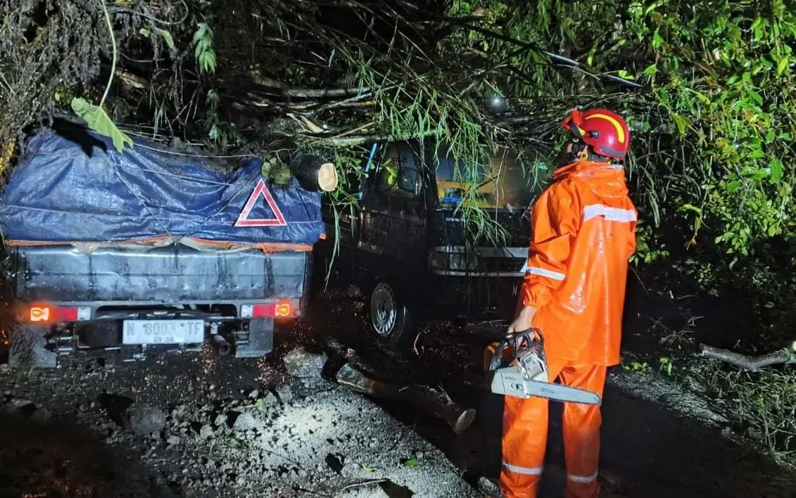 Cuaca Ekstrem di Kota Batu: 31 Pohon Tumbang dan Akses Jalan Terganggu
