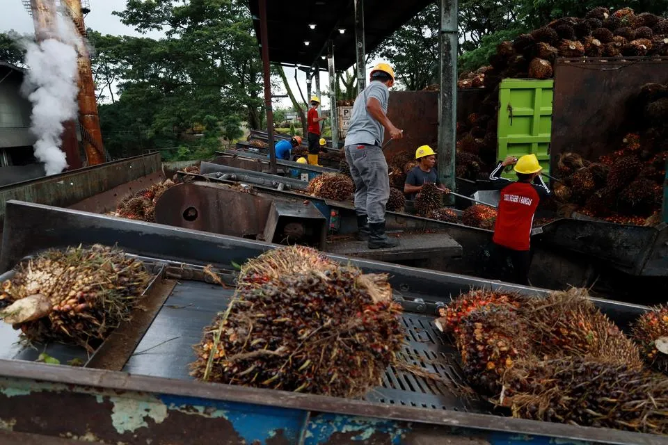 Indonesia Desak Uni Eropa Patuhi Putusan WTO untuk Akses Pasar Sawit