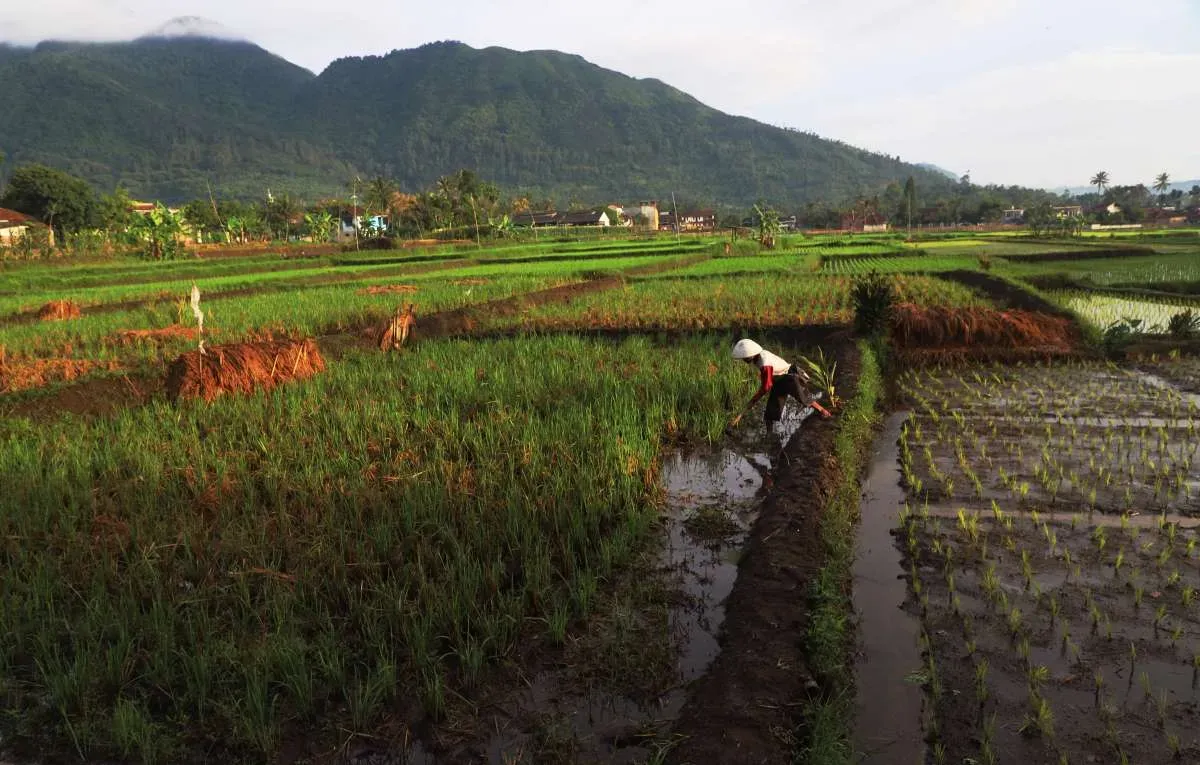 Jadwal Imsak dan Tips Sahur Sehat di Garut untuk Puasa Lancar