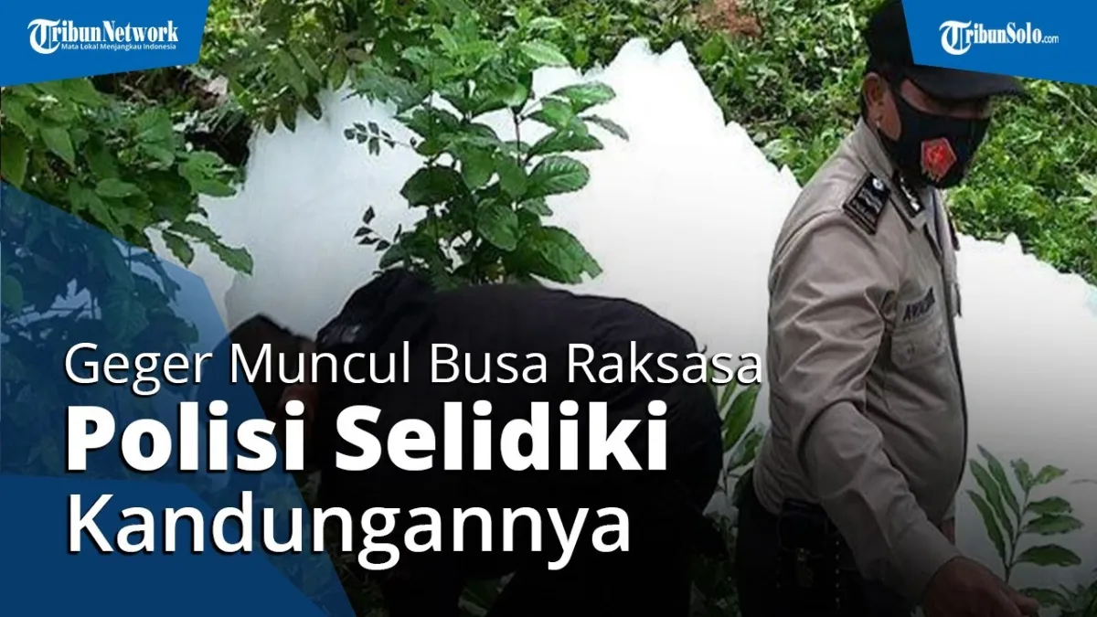 Fenomena Gelembung Busa Raksasa di Sijunjung, DLH Lakukan Penyelidikan