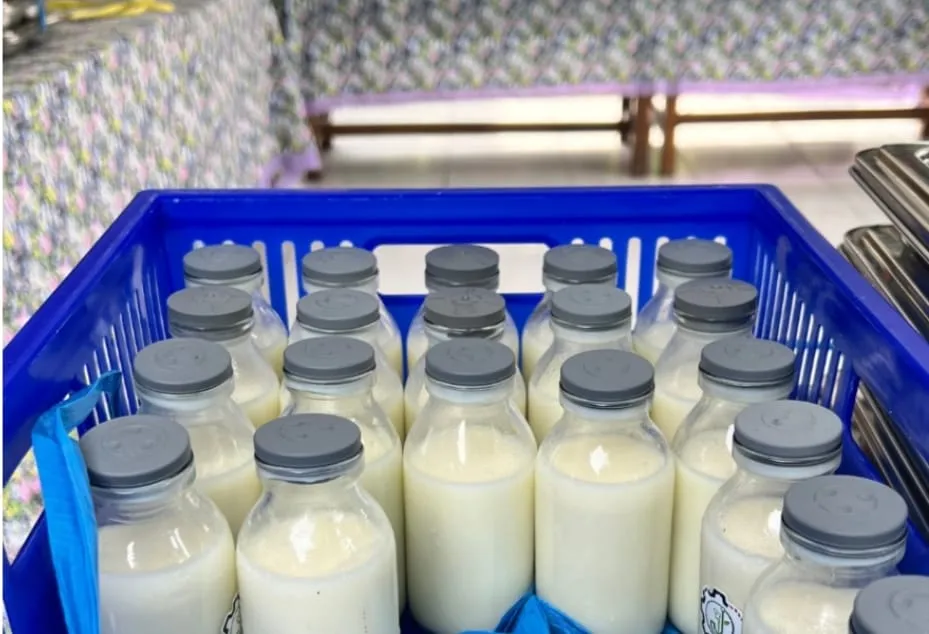 Kandungan Susu MBG Dipertanyakan, BGN Berikan Penjelasan Mengenai Nutrisi dan Pertumbuhan Peternak Lokal