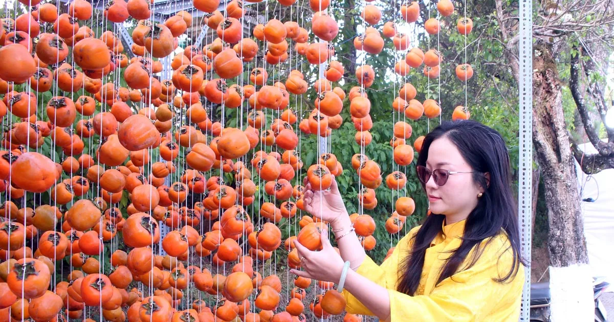 Dukungan Modal Koperasi untuk Meningkatkan Produksi dan Bisnis Berkelanjutan