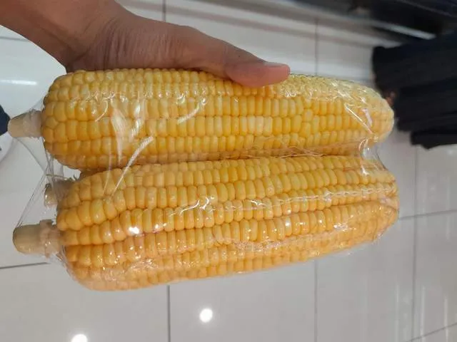Jagung: Sumber Energi Sehat dan Nutrisi Penting untuk Keseharian