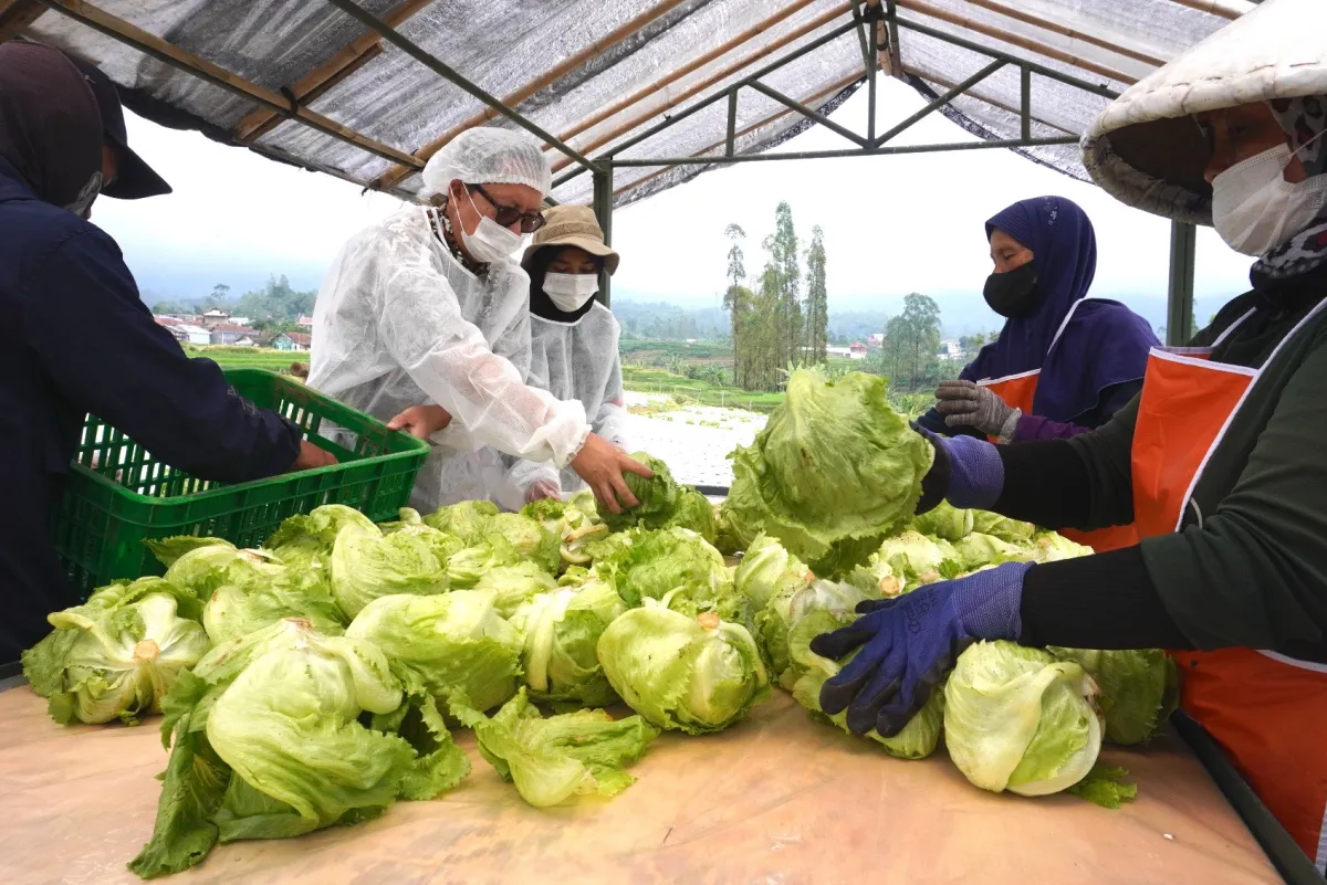McDonald's Indonesia Ciptakan 330 Lapangan Kerja untuk Setiap 100 Karyawan