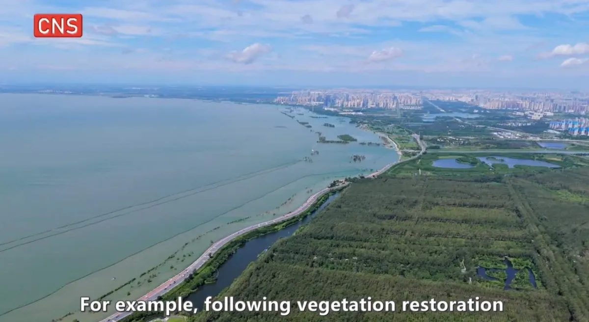 China Manfaatkan Teknologi eDNA untuk Lindungi Keanekaragaman Hayati Sungai Yangtze