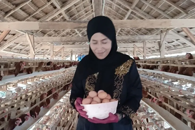 BUMDes Desa Barat Lambongan Raih Omset 22 Juta Per Bulan dari Usaha Ayam Petelur