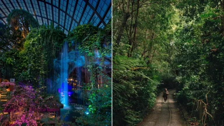 11 Destinasi Wisata Alam Menarik di Penang untuk Tahun 2026