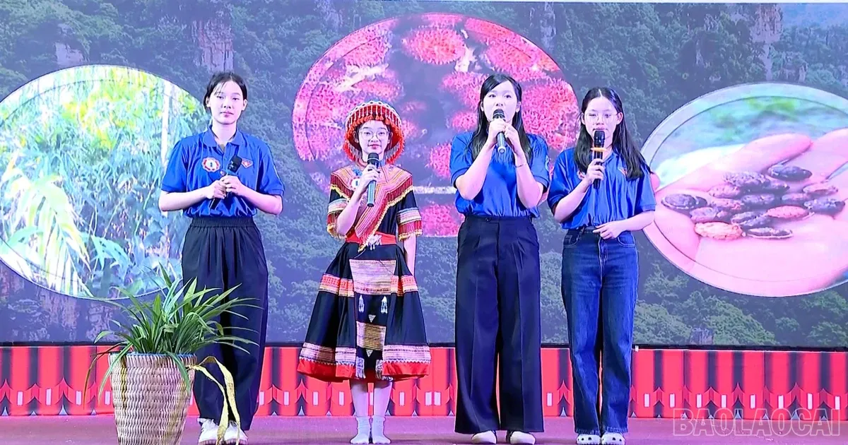 Lao Cai Kembangkan Ekosistem Startup untuk Dorong Inovasi Kaum Muda