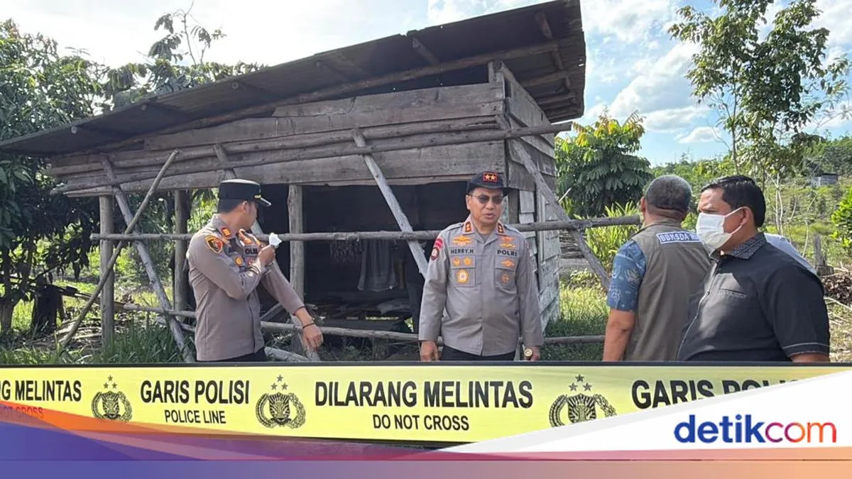 Polda Riau Lakukan Operasi 'Sapu Jerat' Setelah Kasus Anak Gajah Mati