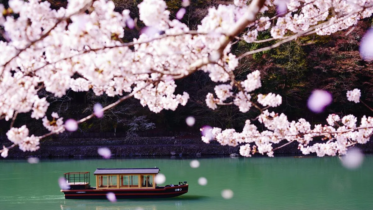 Pilihan Hotel Terbaik untuk Hanami Musim Sakura 2026 di Jepang