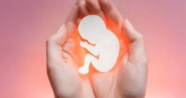Dinas Kesehatan Lam Dong Tegaskan Sanksi bagi Pelanggar Aborsi Ilegal