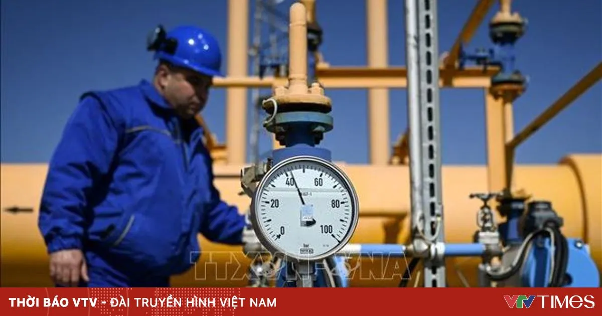 Uni Eropa Cari Solusi Atasi Risiko Kekurangan Energi dari Teluk