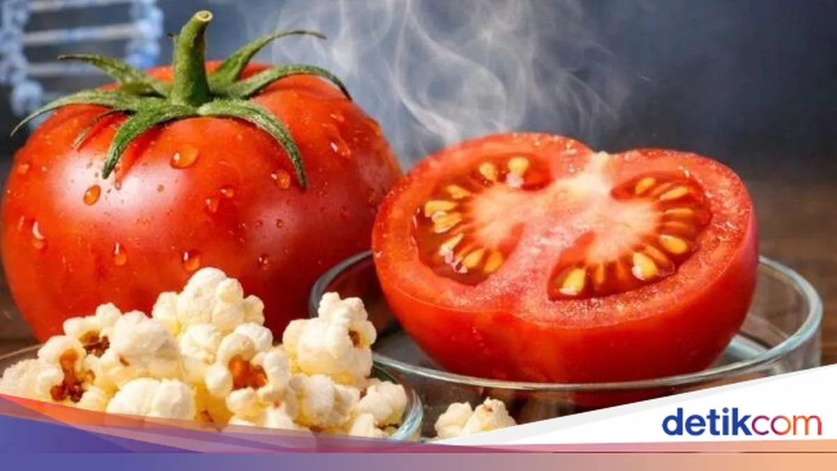 Tomat dengan Aroma Mirip Popcorn Ditemukan