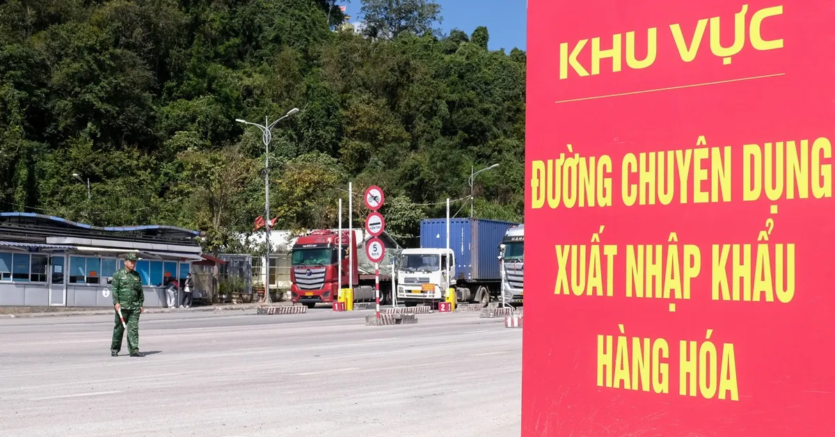 Kemenkes Siapkan Pelaksanaan Keputusan Keamanan Pangan Mulai 16 April