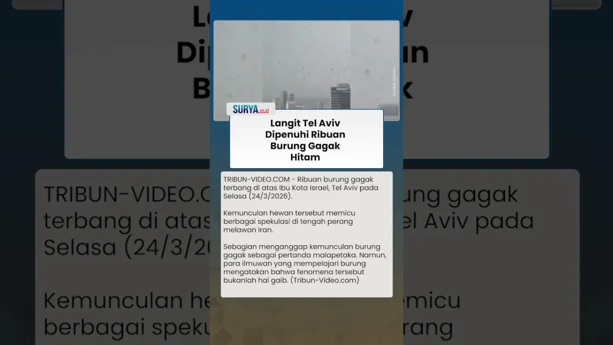 Fenomena Ribuan Burung Gagak di Tel Aviv: Migrasi Musiman atau Pertanda Buruk?