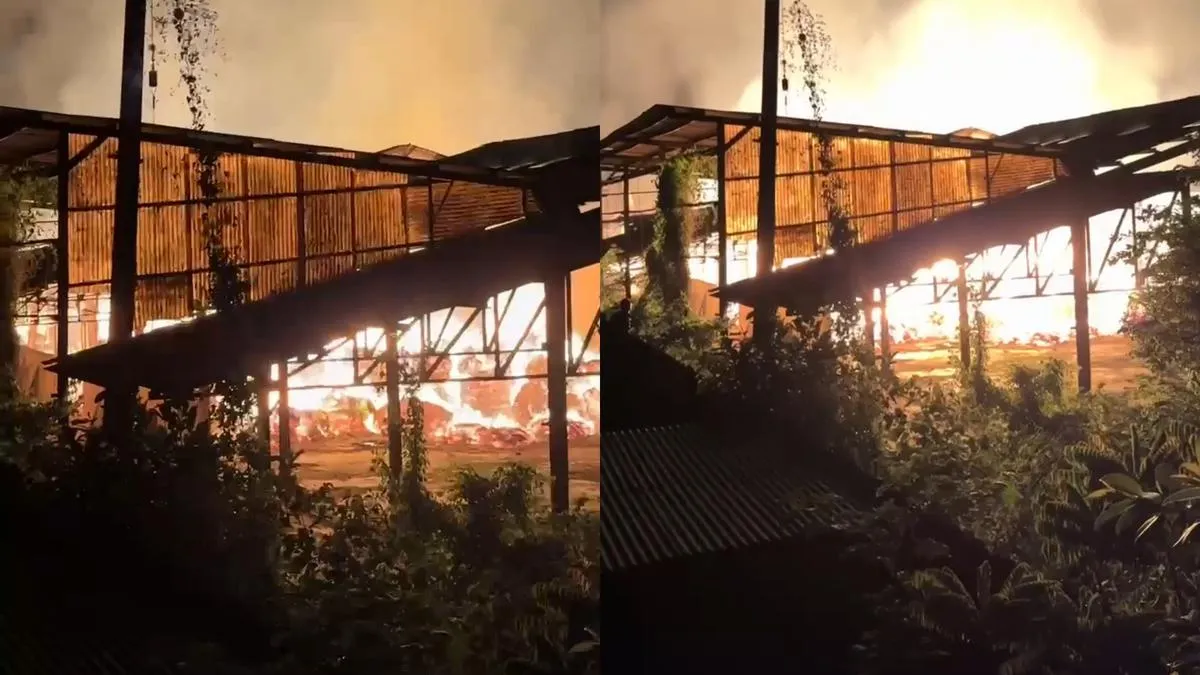 Kebakaran Pabrik Kertas di Lampung Tengah, Penyebab Masih Diselidiki