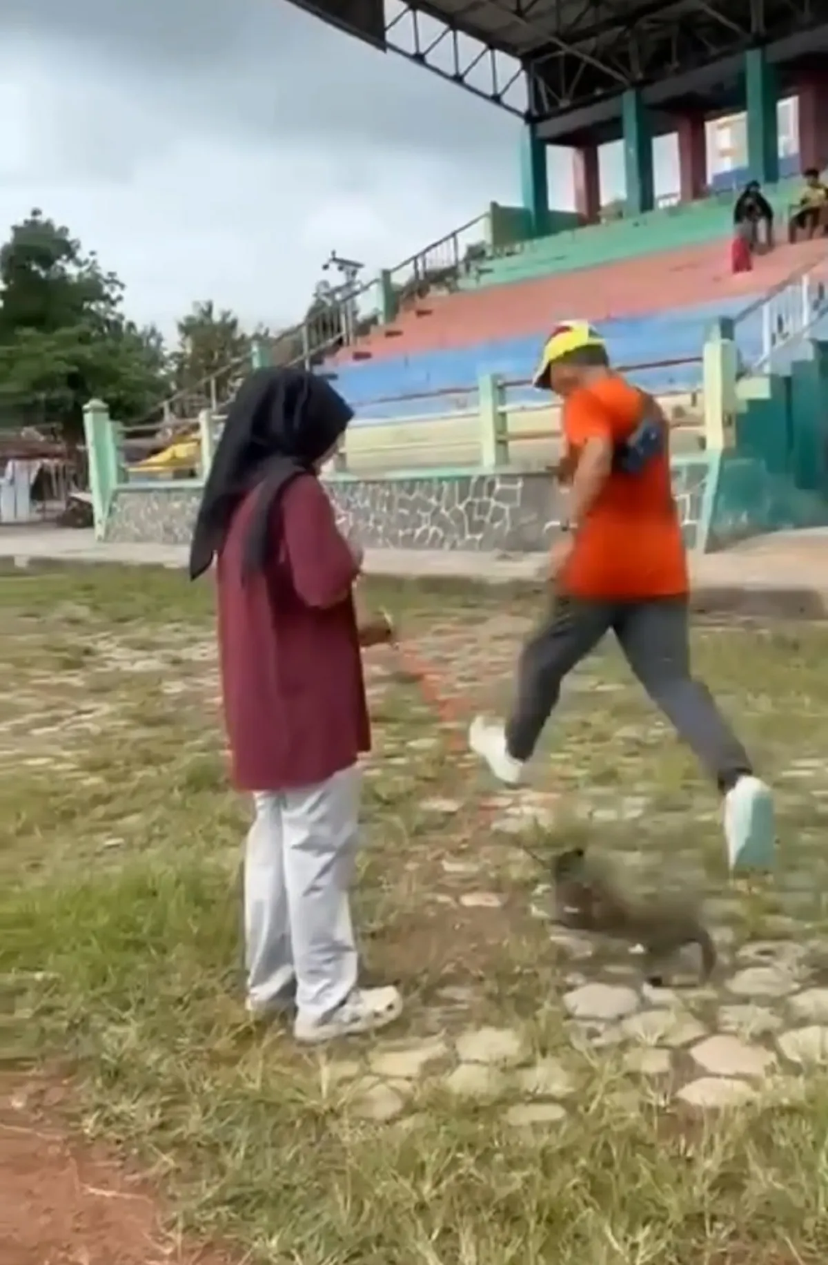 Tersangka Penendang Kucing di Blora Tak Ditahan karena Ancaman Pidana Ringan