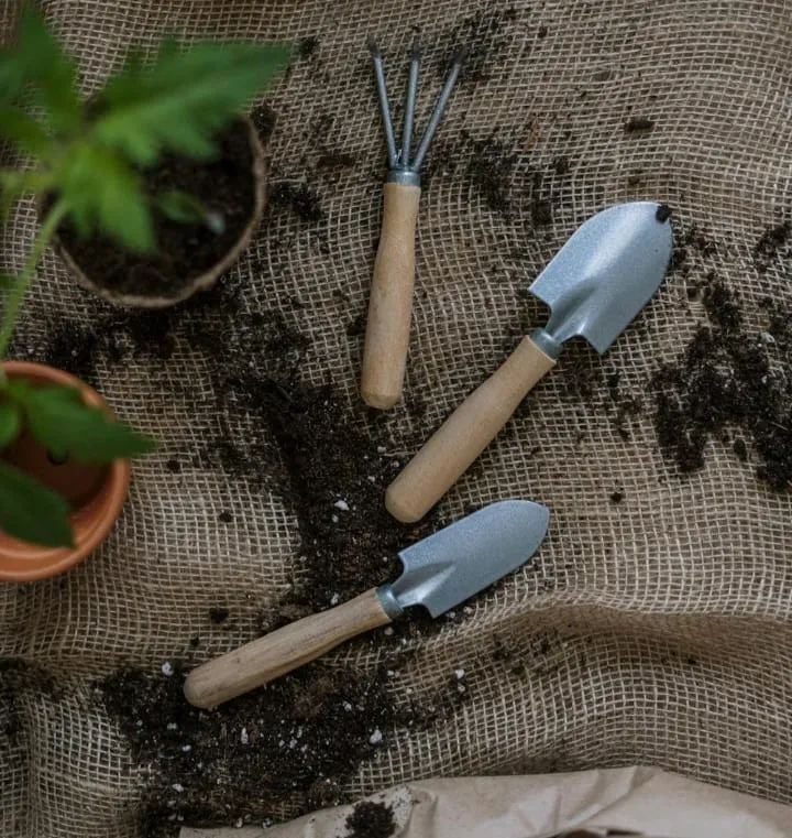 Berkebun: Terapi Alami untuk Kesehatan Mental dan Kesejahteraan