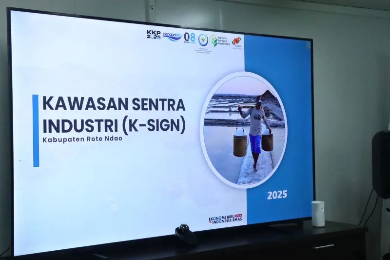 Pusat Industri Garam Nasional di Rote Ndao Ditargetkan Selesai pada Juni 2026