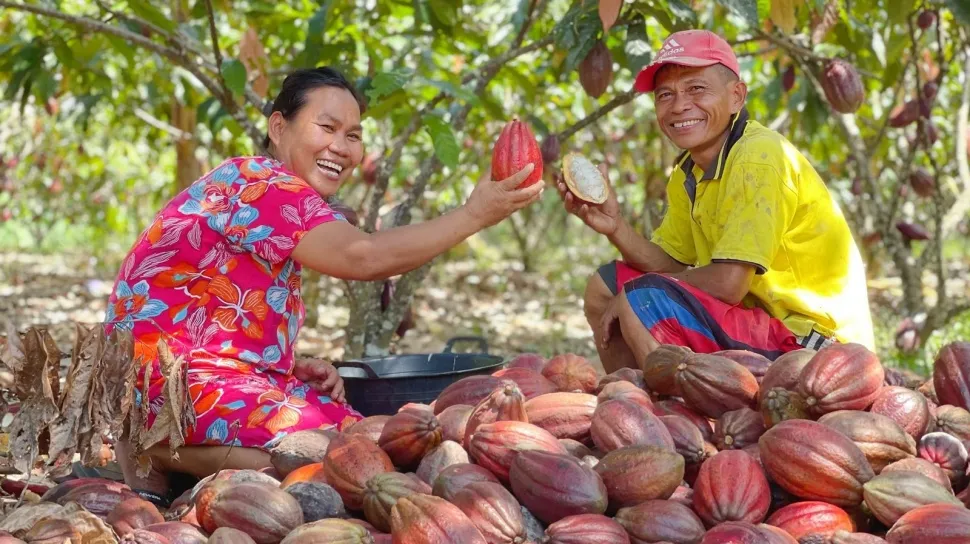 Mars Investasikan Rp48 Miliar untuk Pemberdayaan Komunitas Kakao di Indonesia