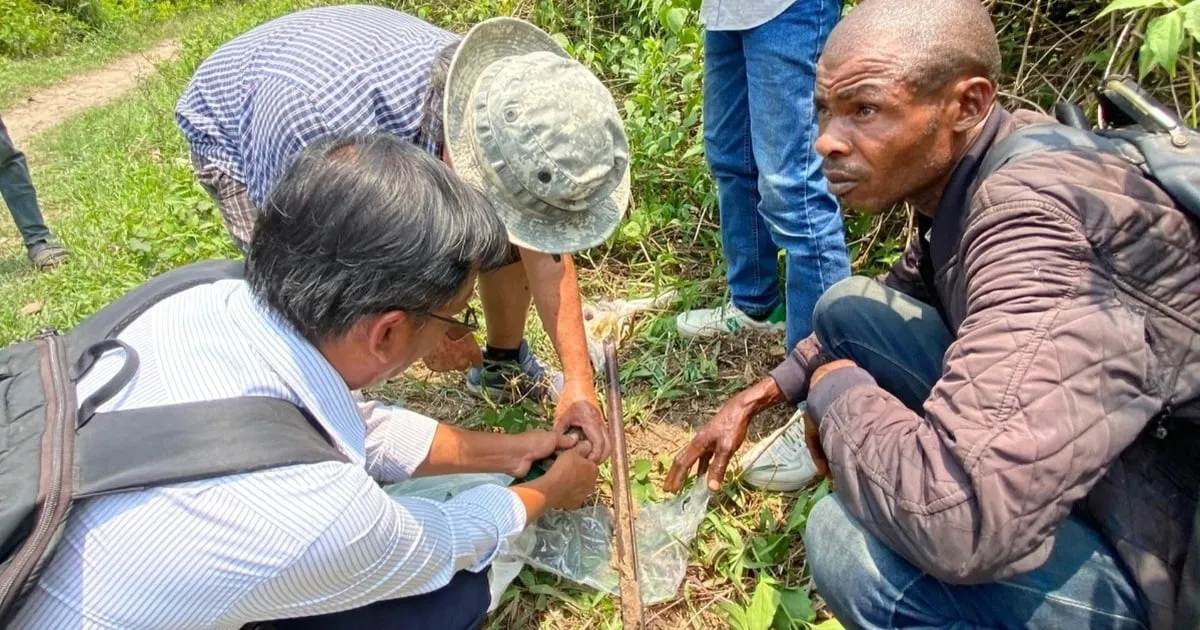 Vietnam Transformasi Lahan Tandus di Afrika Menjadi Ladang Padi Subur