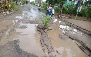 Kerusakan Parah Jalan Poros Tamban di Kalimantan Tengah Menyebabkan Kecelakaan