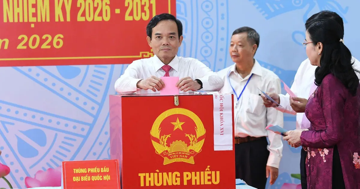 Pemilihan Umum di Ho Chi Minh Disambut Meriah dengan Partisipasi Tinggi