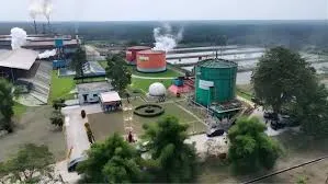 PTPN IV PalmCo Catat ROA 7,9 Persen, Melampaui Target