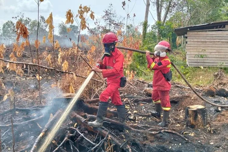 Kebakaran Hutan dan Lahan Melanda Kubu Raya, Kalimantan Barat