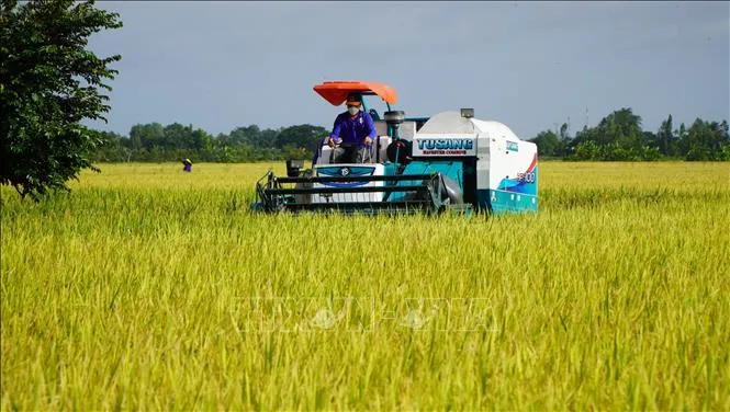 Transformasi Pertanian Berkelanjutan Melalui Ekonomi Sirkular di Vietnam