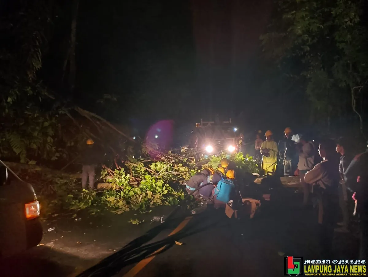 Hujan Angin Lumpuhkan Jalur Nasional Liwa–Krui, Rumah Warga Rusak Berat dan Listrik Pesisir Barat Padam Total