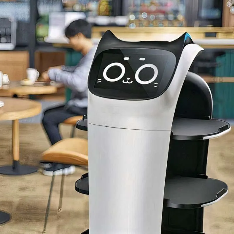 Robot Pelayan: Solusi Inovatif atau Hanya Daya Tarik Restoran?