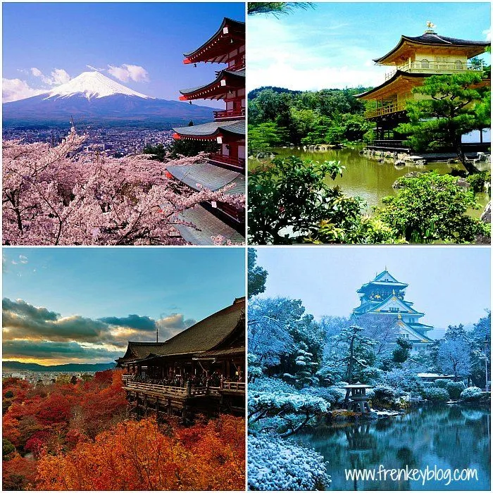 Panduan Wisata dan Dekorasi Bunga Sakura Musim Semi 2026