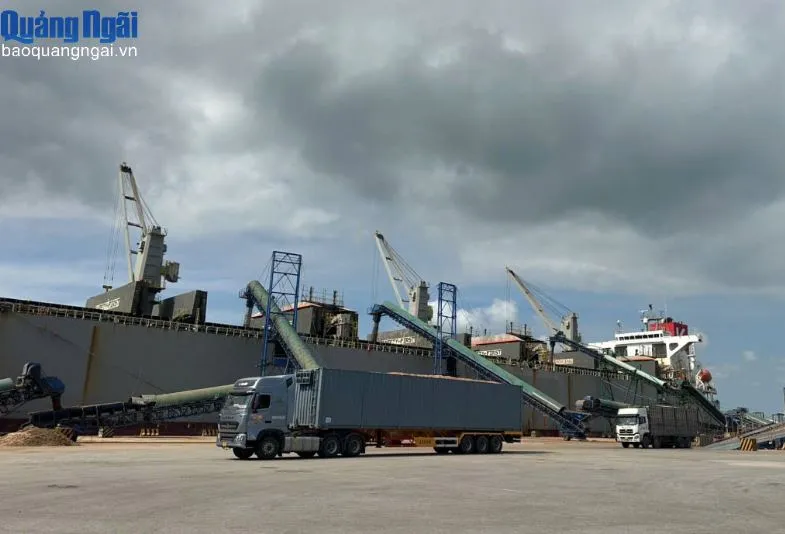 Pelabuhan Quang Ngai Tingkatkan Manajemen Melalui Transformasi Digital
