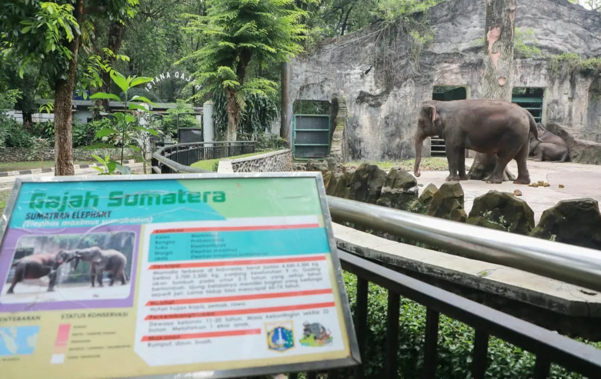 Ragunan Hadirkan Edukasi Satwa dan Dekorasi Tematik Selama Libur Lebaran