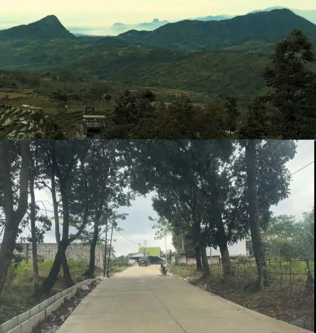 Kecamatan Sukamakmur Akan Menjadi Pusat Ekonomi Baru di Bogor Timur