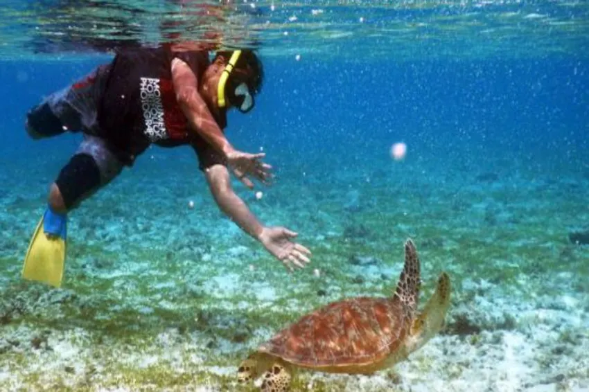 Gili Trawangan Dinobatkan Sebagai Destinasi Berenang Terbaik Dunia 2026