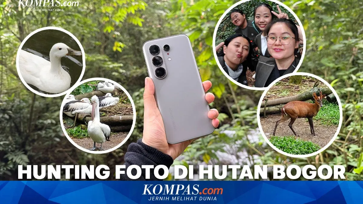 Uji Kamera Tecno Camon 50 Pro 5G: Keandalan Fotografi Alam di Bogor