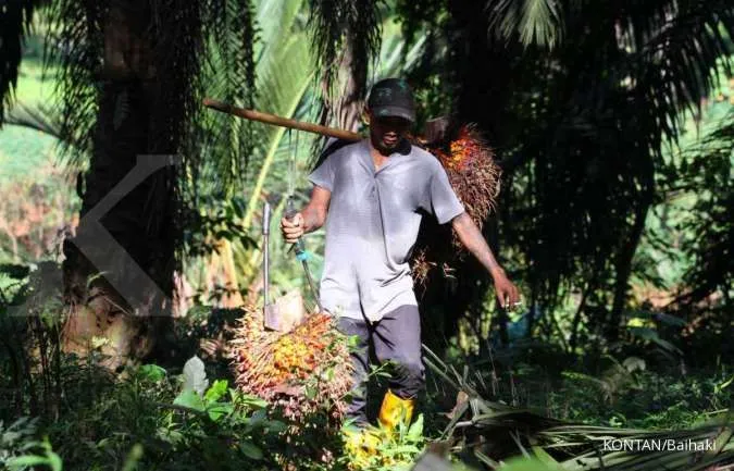 Harga Referensi CPO Naik, Biji Kakao Turun di Maret 2026