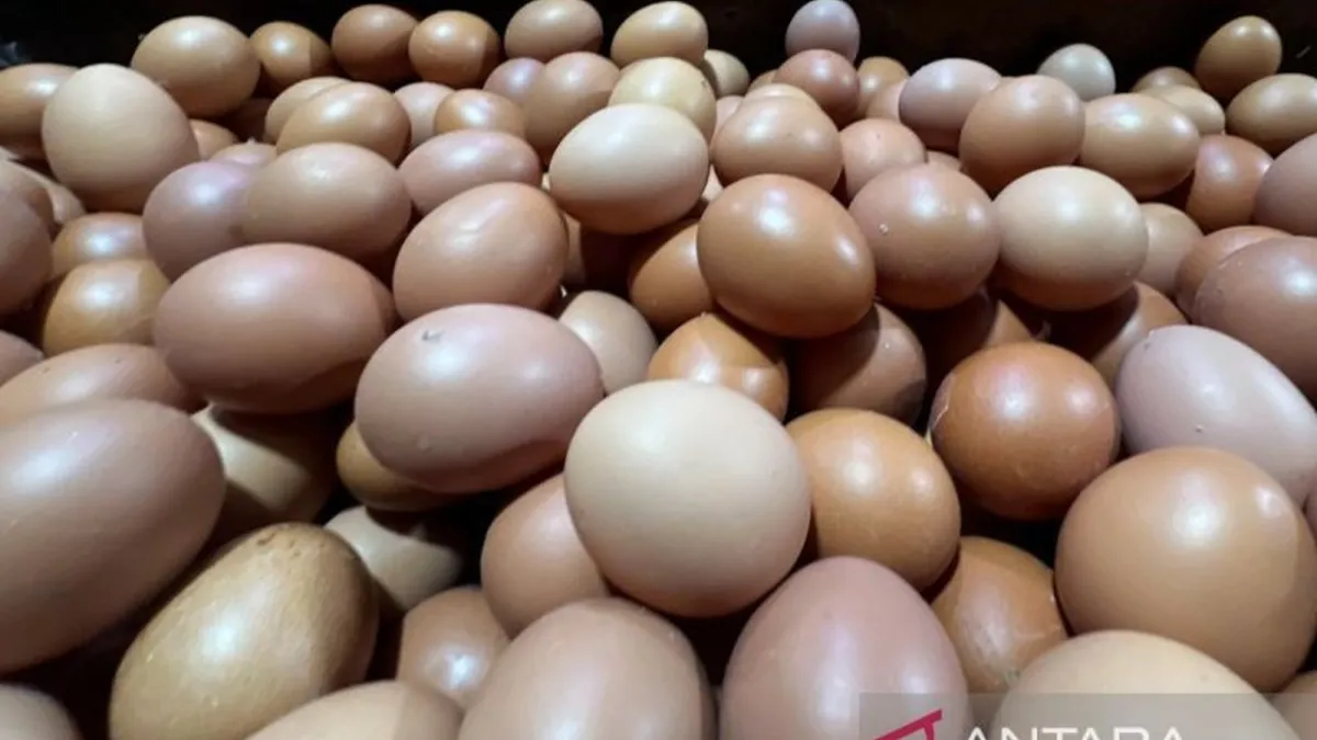 Harga Pangan Strategis Stabil Tinggi, Telur Ayam dan Bawang Merah Menjadi Perhatian