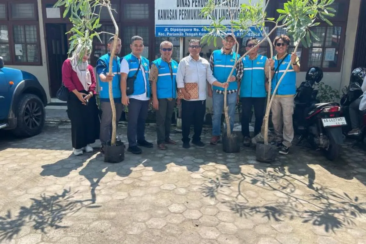 PLN Serahkan 50 Bibit Pohon Tabebuya untuk Penghijauan Kota Pariaman