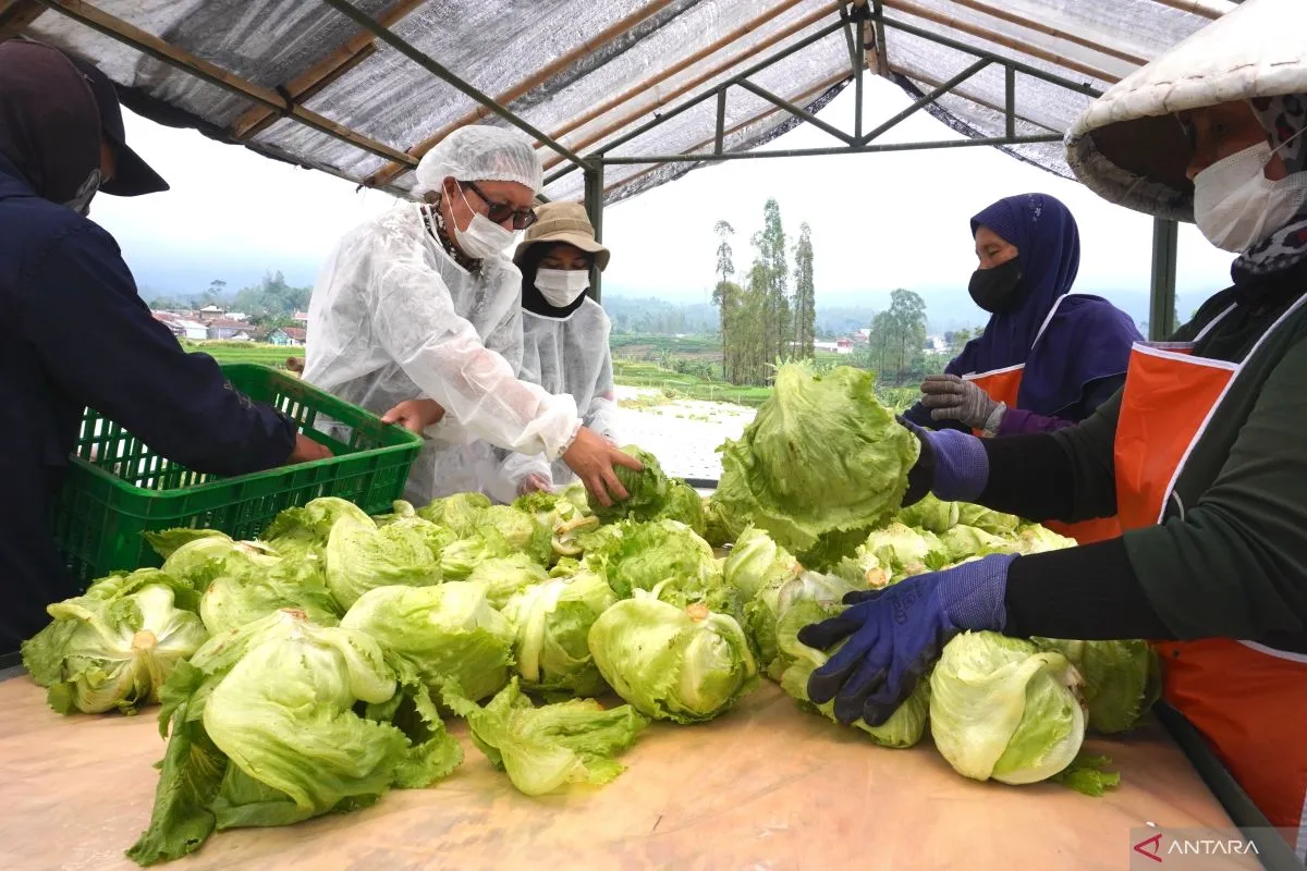 Restoran Cepat Saji Dorong Penciptaan Lapangan Kerja di Komunitas Lokal