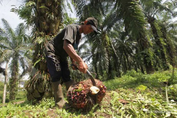 Industri Sawit Kontribusi Ekonomi Nasional Capai Rp750 Triliun
