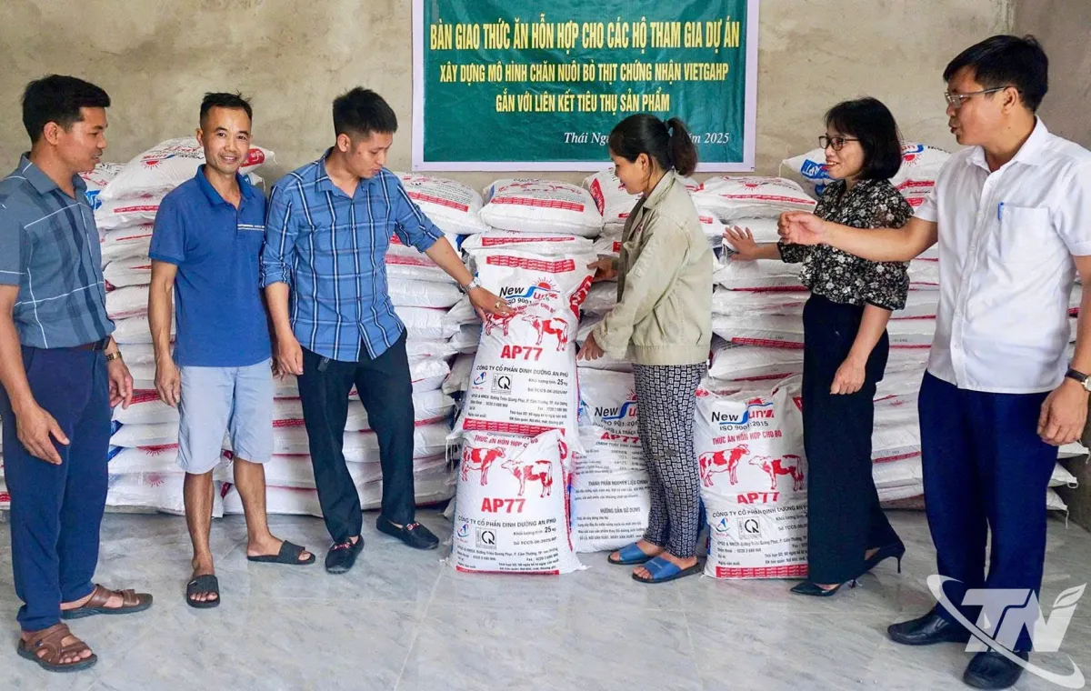 Dukungan Teknologi dan Model Pertanian untuk Rumah Tangga di Thai Nguyen