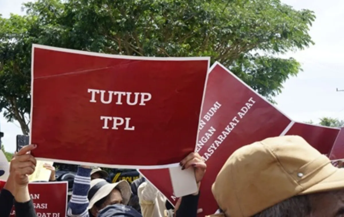 Ribuan Karyawan TPL Terancam PHK Pasca Pencabutan Izin Hutan