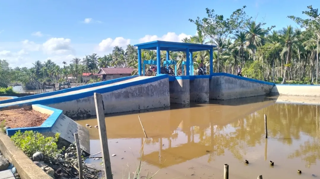 Wabup Tanjab Barat Siap Panggil Inspektorat Tindaklanjuti Temuan BPKP pada Proyek Pintu Air