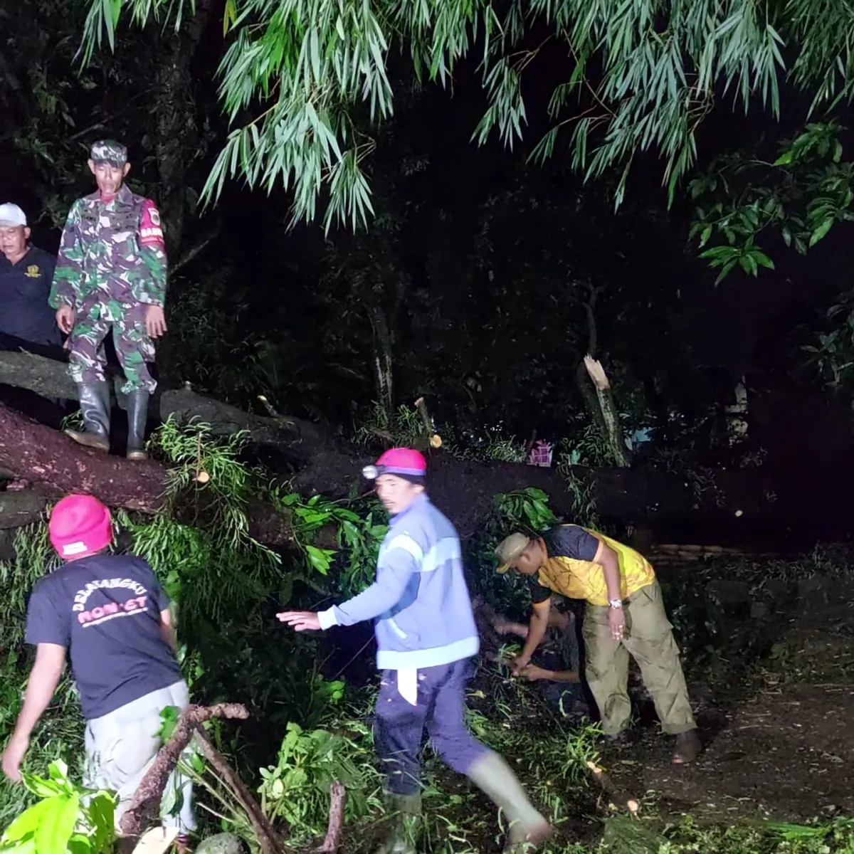 Pohon Tumbang Timpa Rumah Warga di Desa Kerandon akibat Hujan dan Angin Kencang