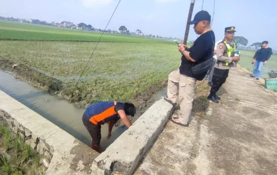 Polisi Selidiki Penyebab Kematian Perempuan asal Grobogan di Sawah Sragen
