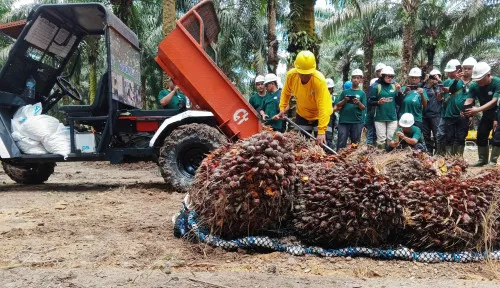 Indonesia Ajukan Penangguhan Konsesi ke UE Terkait Sengketa Minyak Sawit